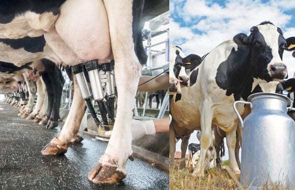 HYGIENE ET PROPHYLAXIE DE TRAITE 