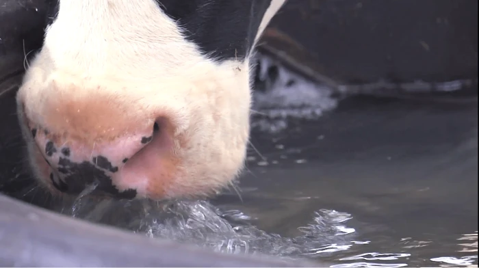 BIOSECURITE INTERNE, EAU D'ABREUVAGE