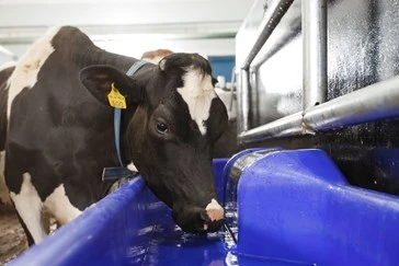 hygiène de l'eau d'abreuvage