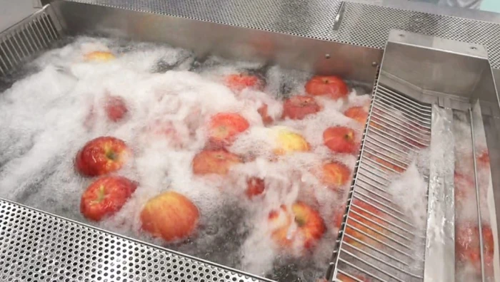 TRAITEMENT DES FRUITS ET LEGUMES EN STATIONS D'EMBALLAGE