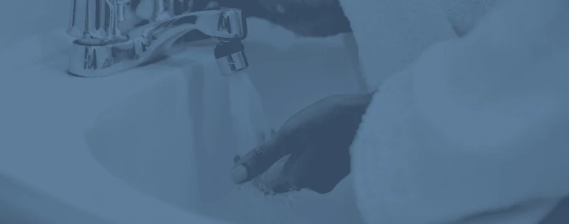 HUMIA VIGNE  (SOUFRE-MANGANESE)