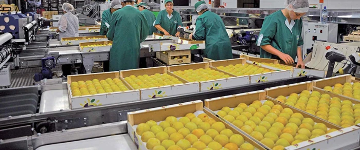 TRAITEMENT DES FRUITS ET LEGUMES EN STATION D'EMBALLAGE 