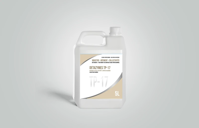DETAZYMES TP 17