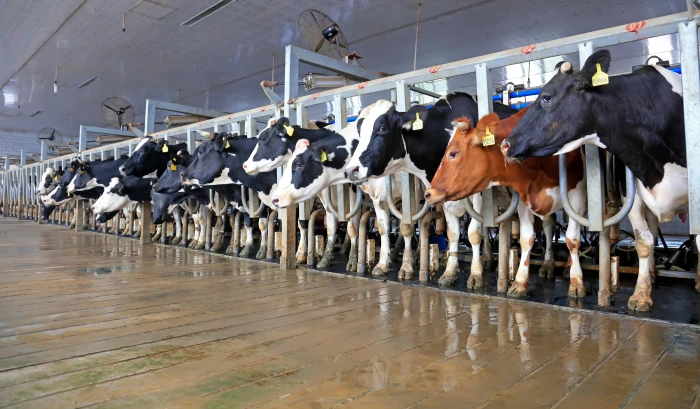 BIOSECURITE INTERNE DES SURFACES ET DES EQUIPEMENTS  