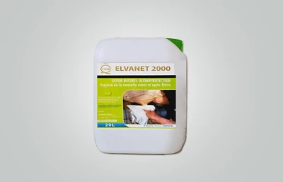 ELVANET 2000