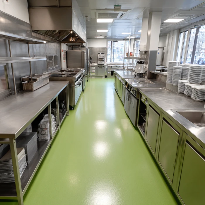 HYGIENE DES CUISINES PROFESSIONNELLES